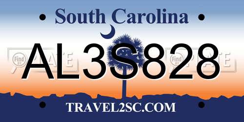 AL3S828 South Carolina License Plate