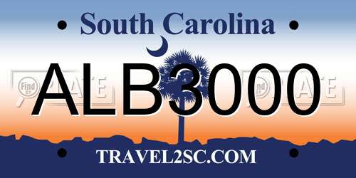 ALB3000 South Carolina License Plate