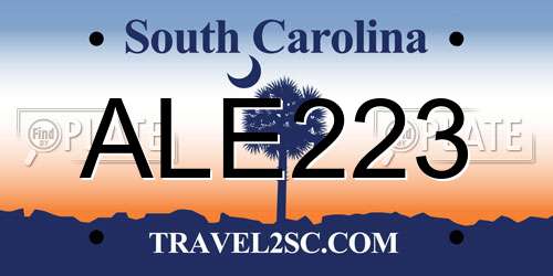 ALE223 South Carolina License Plate