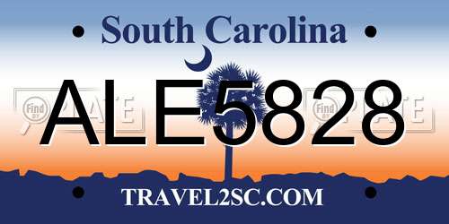 ALE5828 South Carolina License Plate