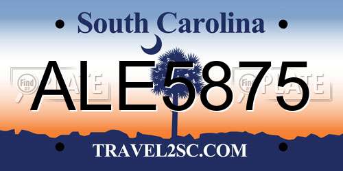 ALE5875 South Carolina License Plate