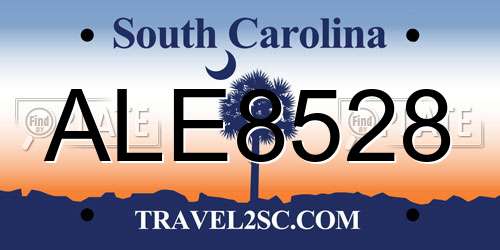 ALE8528 South Carolina License Plate