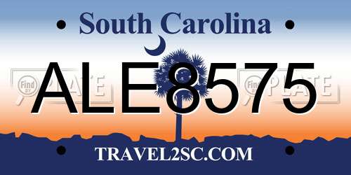 ALE8575 South Carolina License Plate