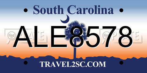 ALE8578 South Carolina License Plate