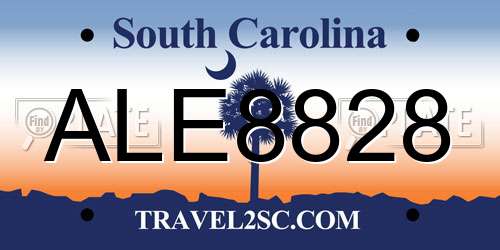 ALE8828 South Carolina License Plate