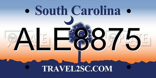 ALE8875 South Carolina License Plate