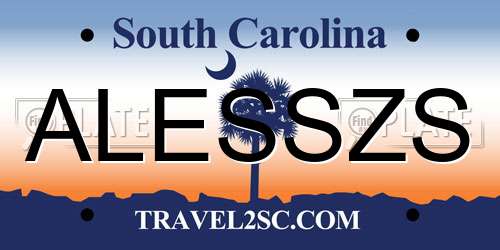 ALESSZS South Carolina License Plate