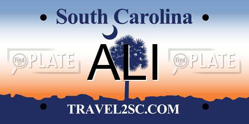 ALI South Carolina License Plate