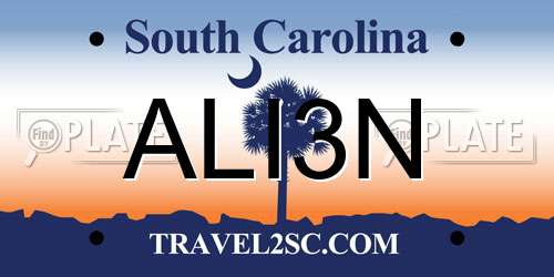 ALI3N South Carolina License Plate