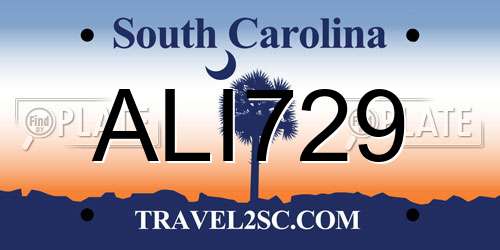 ALI729 South Carolina License Plate