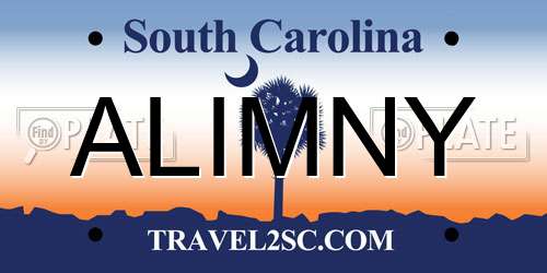 ALIMNY South Carolina License Plate