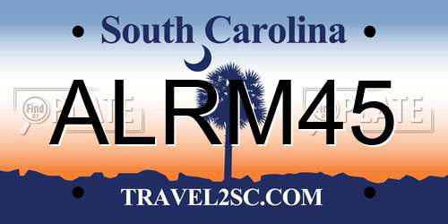ALRM45 South Carolina License Plate