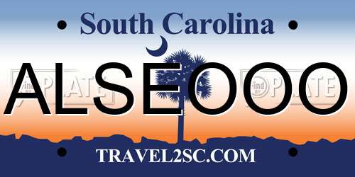 ALSEOOO South Carolina License Plate