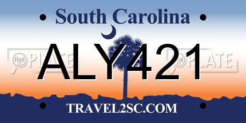 ALY421 South Carolina License Plate