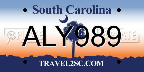 ALY989 South Carolina License Plate