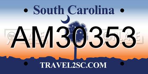 AM30353 South Carolina License Plate