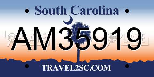 AM35919 South Carolina License Plate