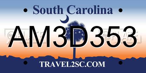 AM3D353 South Carolina License Plate