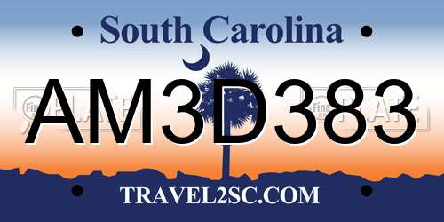 AM3D383 South Carolina License Plate