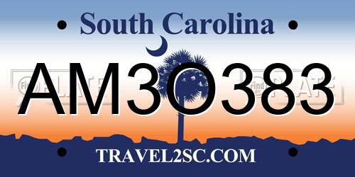 AM3O383 South Carolina License Plate