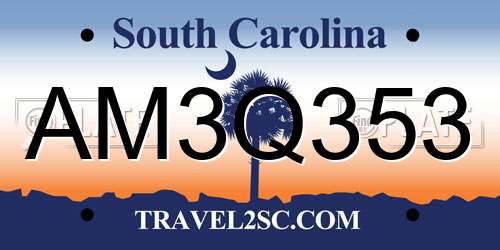 AM3Q353 South Carolina License Plate