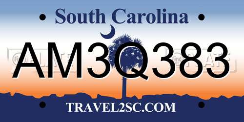 AM3Q383 South Carolina License Plate