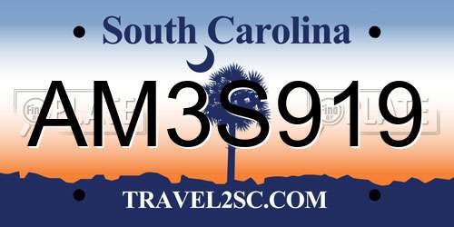 AM3S919 South Carolina License Plate