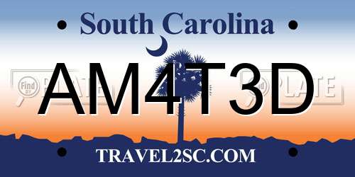 AM4T3D South Carolina License Plate