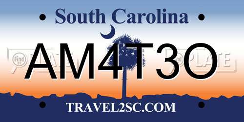 AM4T3O South Carolina License Plate