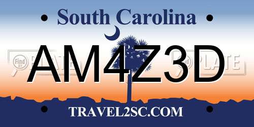 AM4Z3D South Carolina License Plate