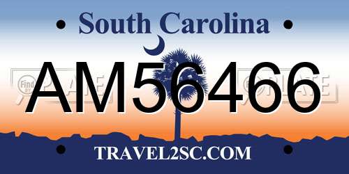 AM56466 South Carolina License Plate