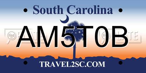 AM5T0B South Carolina License Plate