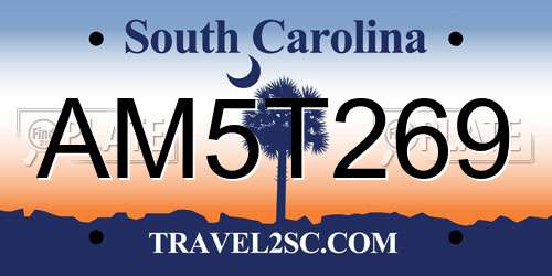 AM5T269 South Carolina License Plate