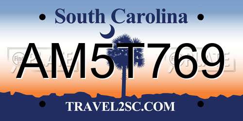 AM5T769 South Carolina License Plate