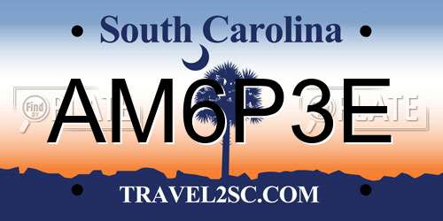 AM6P3E South Carolina License Plate