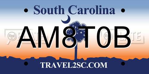 AM8T0B South Carolina License Plate