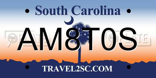 AM8T0S South Carolina License Plate