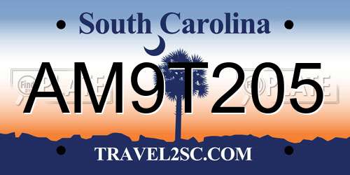 AM9T205 South Carolina License Plate