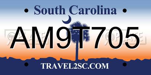 AM9T705 South Carolina License Plate