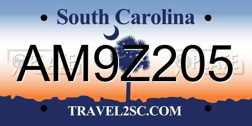 AM9Z205 South Carolina License Plate