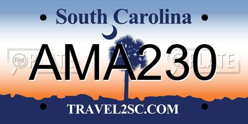 AMA230 South Carolina License Plate