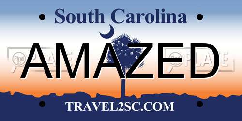 AMAZED South Carolina License Plate