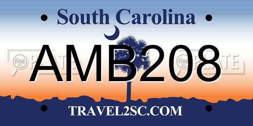 AMB208 South Carolina License Plate