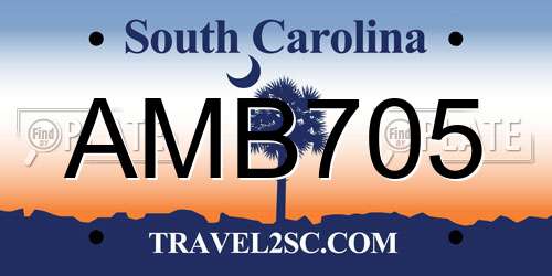 AMB705 South Carolina License Plate