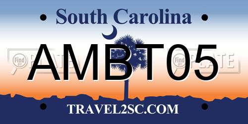AMBT05 South Carolina License Plate