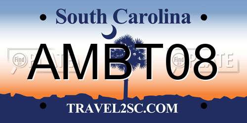 AMBT08 South Carolina License Plate