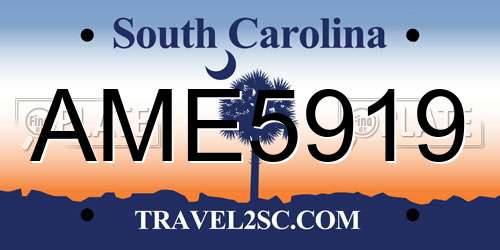 AME5919 South Carolina License Plate