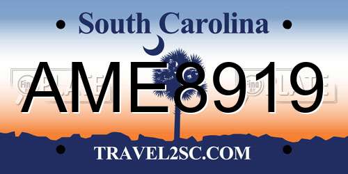 AME8919 South Carolina License Plate