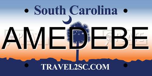 AMEDEBE South Carolina License Plate