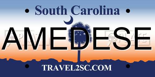 AMEDESE South Carolina License Plate